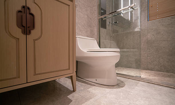 Choosing the Right Toilet Seats for Your Home