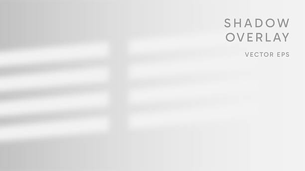 Perfect Blackout Shades for Your Home