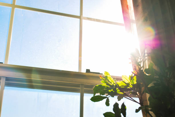 The Right Window Film for Your Home