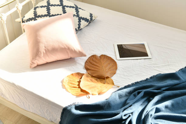 Choosing the Right Mattress