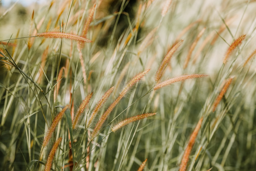 Weather Stripping for Your Home