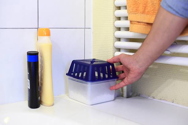 Choosing the Right Dehumidifier for Your Home