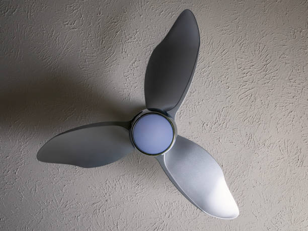 Choosing the Right Ceiling Fans for Your Home