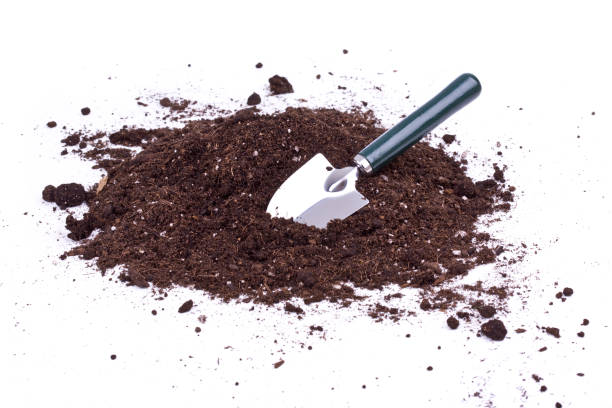 Choosing the Right Soils for Your Garden