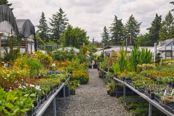 Choosing the Right Garden Center for Your Home