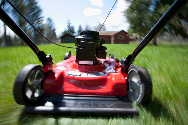 Choosing the Right Lawn Mower for Your Home