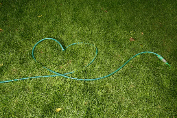 Choosing the Right Garden Hose