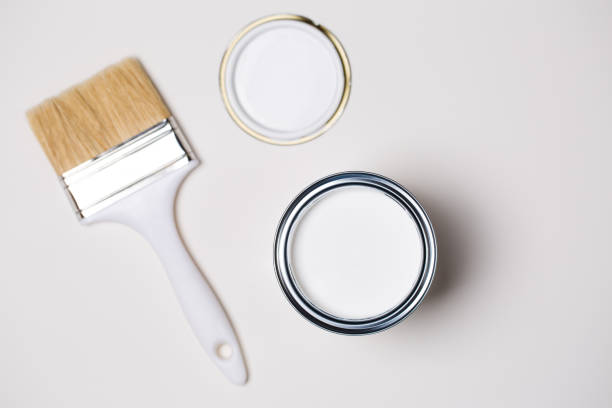 The Best KILZ Primers for Your Home