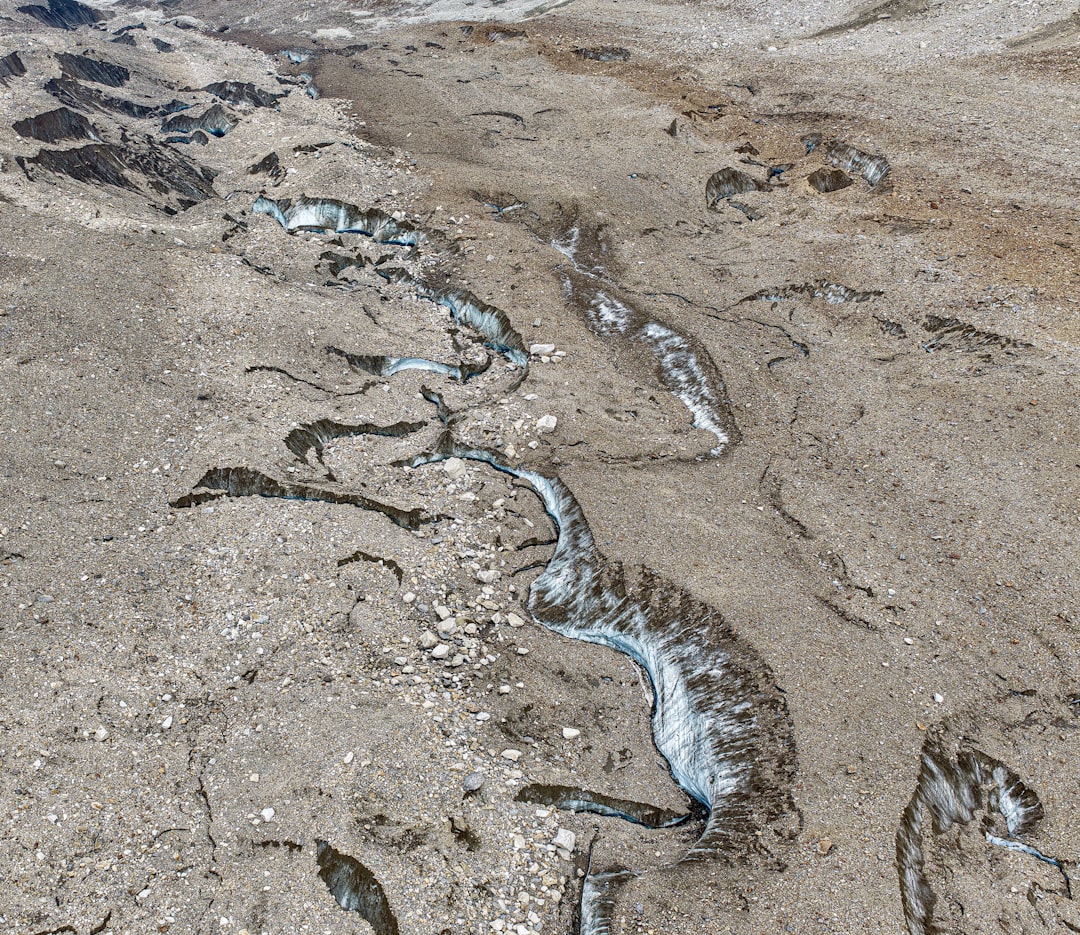 Choosing the Right Drain Snake