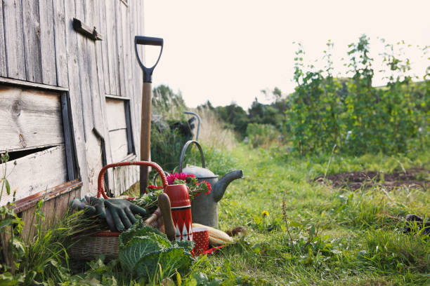 Outdoor Power Equipment for Your Home