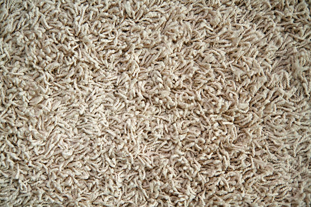 The Right Plush Rugs for Your Home