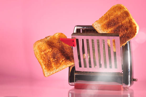 Picking the Best Toaster Oven