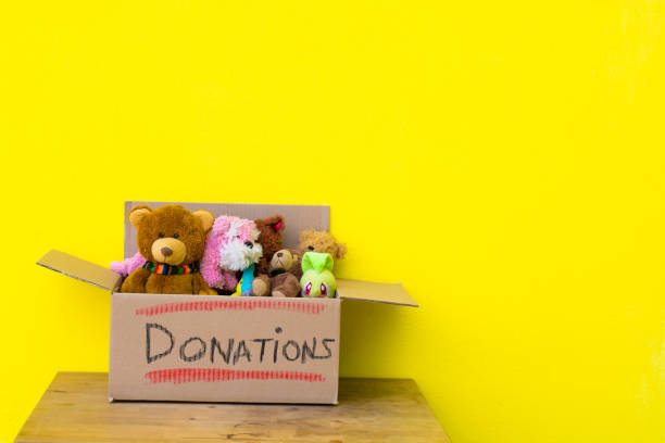 The Best Toy Box for Your Home