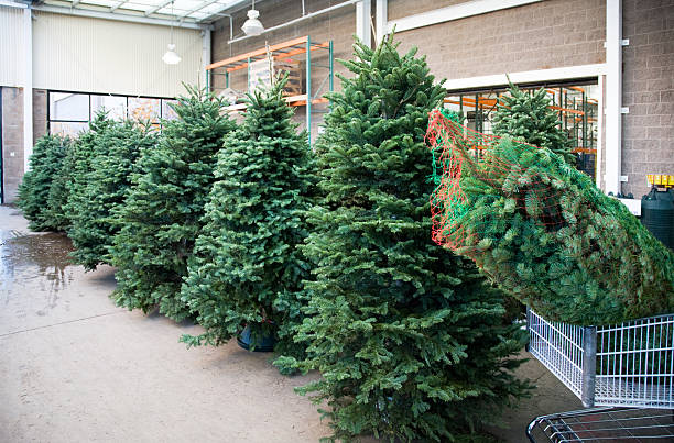 Hall Trees for Your Home