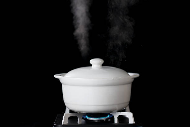 The Right Steamers for Your Home