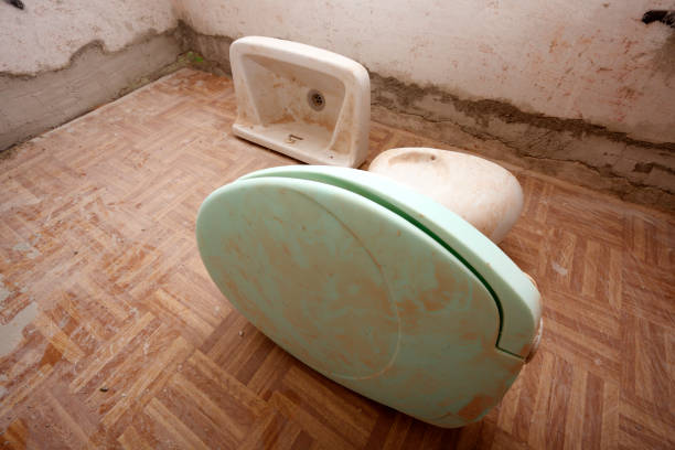 Transforming Your Bathroom with Toilet Seat Projects