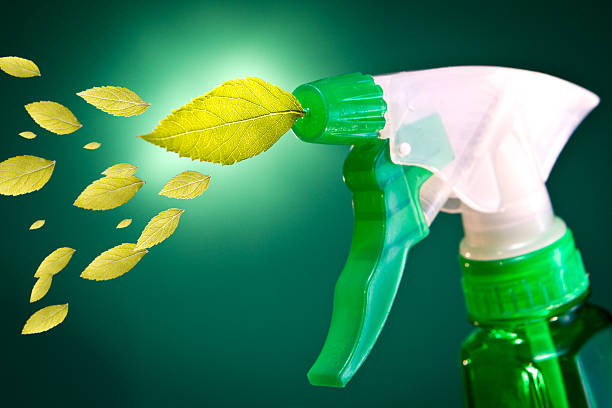 Fresh Solutions: DIY Odor Control Projects for a Pleasant Home