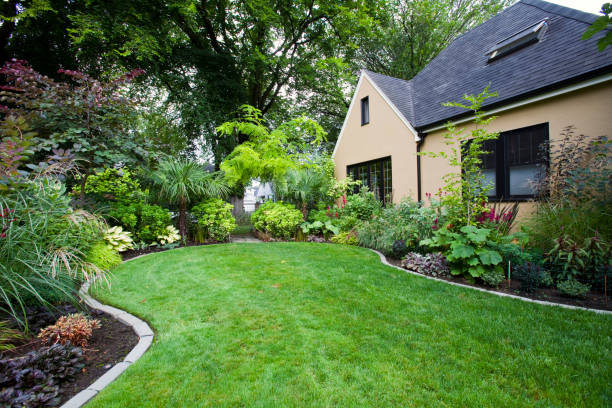 The Right Landscaping Supplies for Your Home