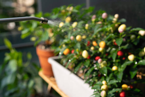 How to Keep Your Garden Center Plants Happy and Pest-Free