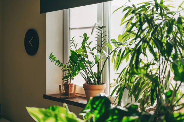 How to Build Your Own DIY Headboard: A Weekend Project for Any Bedroom