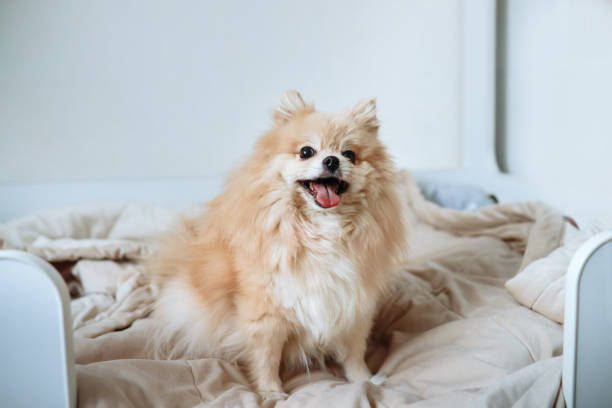 Swapping Your Faucet: A Fresh Look Without Replacing the Whole Sink