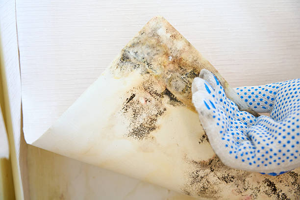 The Tiled Wall Challenge: A Secure Guide to Hanging Heavy Shelves