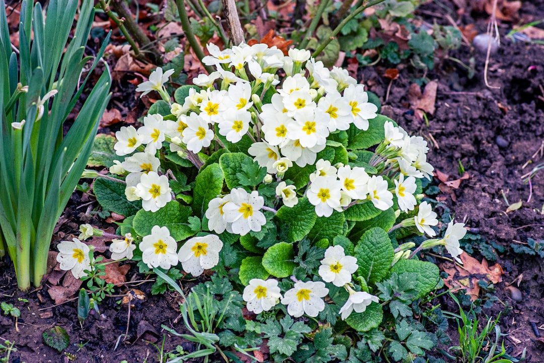 Stretch Your Green Thumb: Easy Ways to Enjoy Your Garden Center Longer