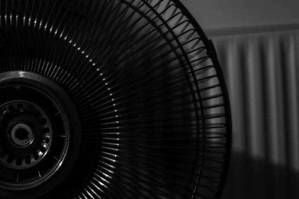 Why Is My Bathroom Fan So Loud and How Can I Quiet It Down?