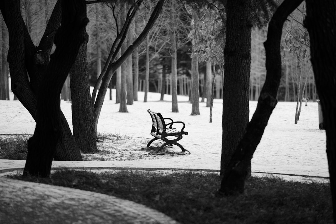 How to Make Your Wooden Bench Strong and Steady for Years to Come