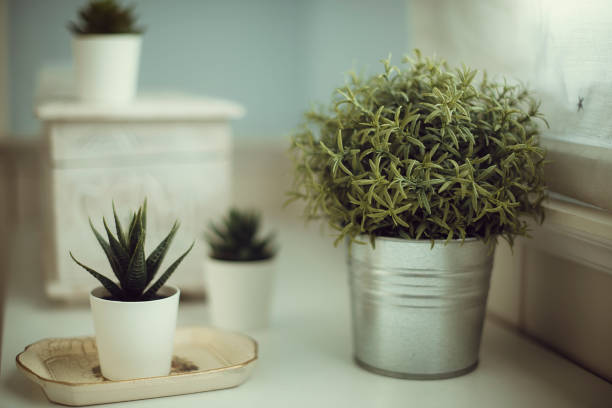 The Best of Both Worlds: Mixing Fake and Real Plants in Your Home
