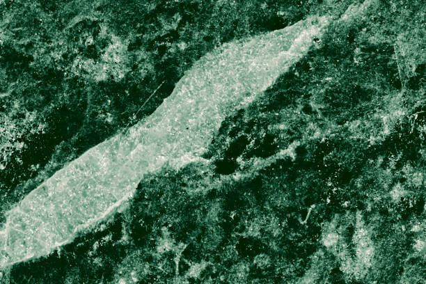 How to Reinforce a Weak Door Frame and Keep Your Home Secure