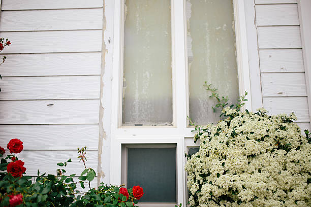 Understanding the Cost of Window Installation for Your Home