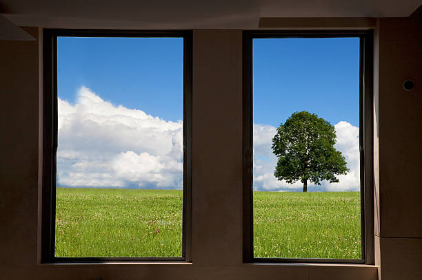 The Quest for the Most Energy-Efficient Window
