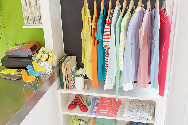 Smart and Stylish: Budget-Friendly Alternatives to Pricey Closet Systems