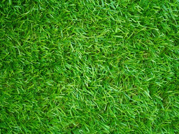 How to Achieve a Natural Look with Artificial Grass