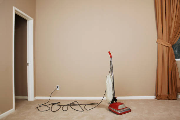 The Versatility of Wet/Dry Vacuums in DIY Home Projects