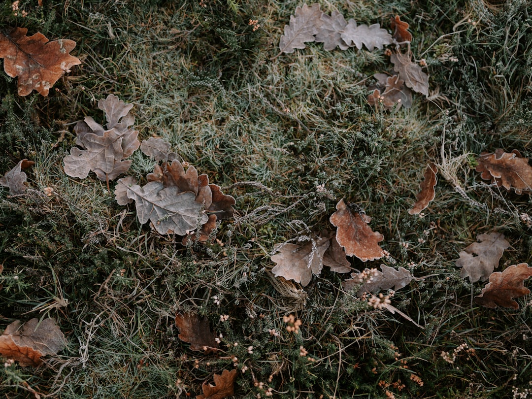 Creative DIY Projects for Wall Air Conditioners