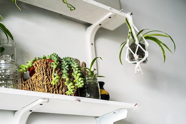 Bringing Nature Indoors: DIY Projects with Plants and Greenery