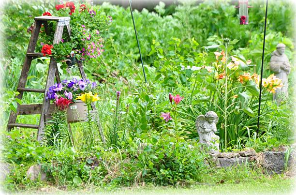 Cultivating Beauty: DIY Projects with Perennials for a Thriving Garden