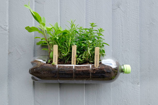 Cultivating Creativity: DIY Gardening and Lawn Care Projects