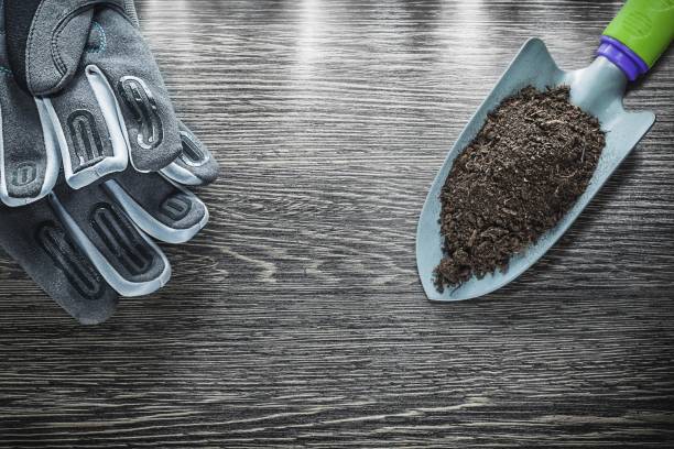 The Foundation of Gardening: DIY Soil Projects for a Thriving Home Landscape