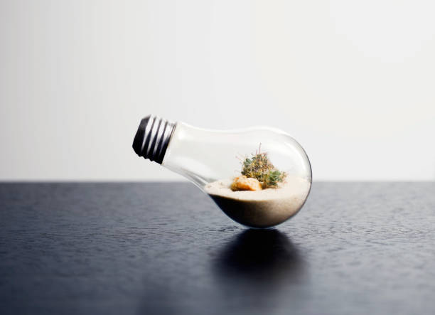 Illuminating Creativity: DIY Light Bulb Projects for Your Home