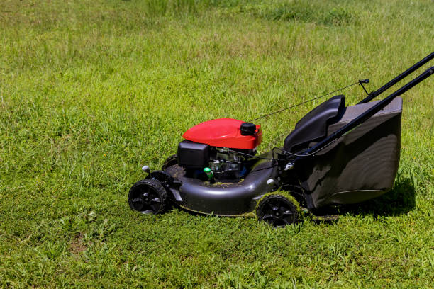 Revitalizing Your Lawn Care: DIY Mower Projects for Homeowners