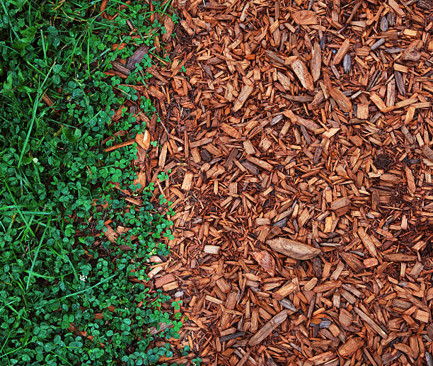 Mulch: Creative DIY Projects for a Healthier, More Beautiful Landscape