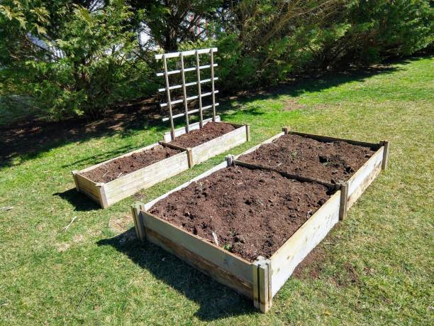 The Elevated Art of Gardening: DIY Raised Bed Projects