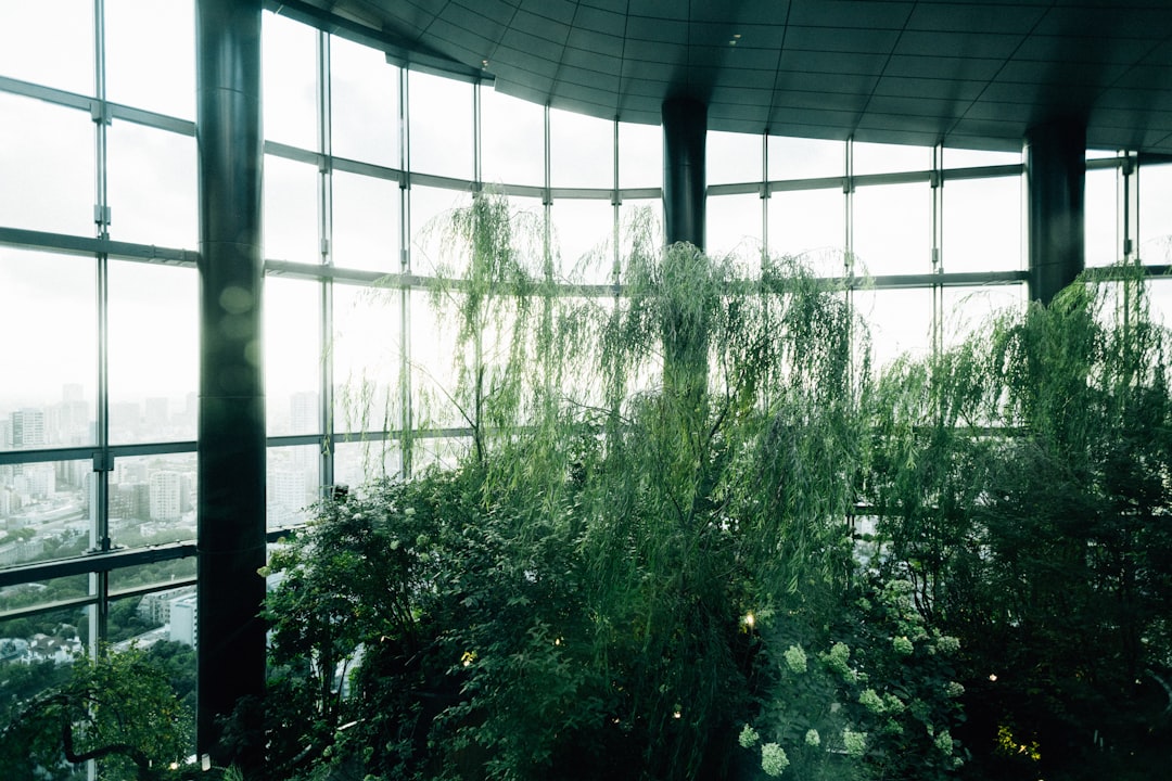 Cultivating Creativity: DIY Greenhouse Projects for Home Gardeners