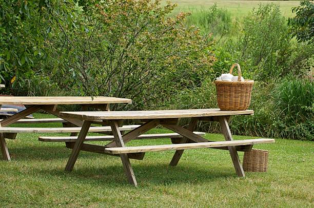 Crafting Community: The Art of DIY Picnic Table Projects