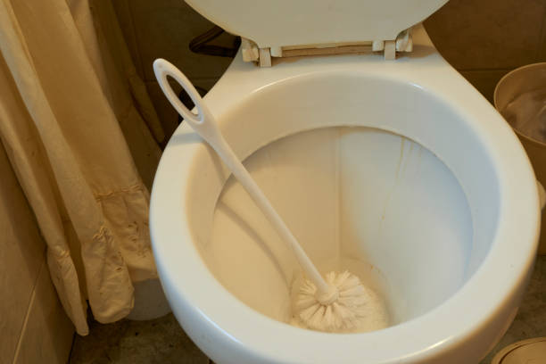 Plungers: Unexpected Heroes in Home DIY Projects