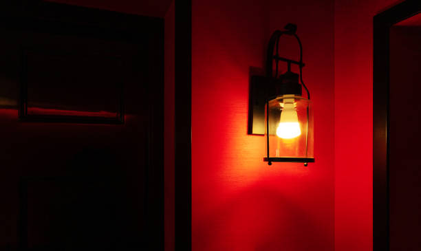 Smart Lighting: Illuminating the Future of DIY Home Automation