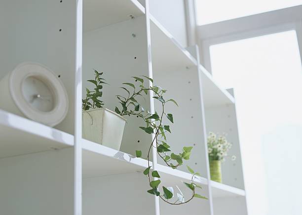 Wall Shelves: DIY Projects for Stylish and Functional Storage